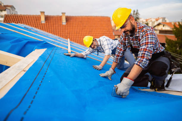 Best Roof Leak Repair  in Parkers Prairie, MN